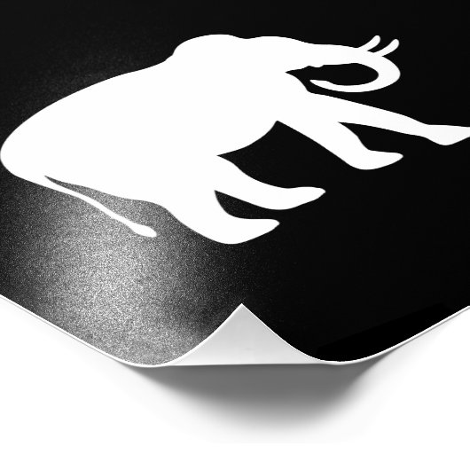 Witte olifant foto afdruk (Hoek)