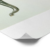 Witte olifant poster (Hoek)