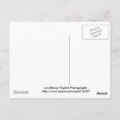 witte omheining briefkaart (Achterkant)