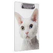 Witte, onbevlekte kat 2 klembord (Rechts)