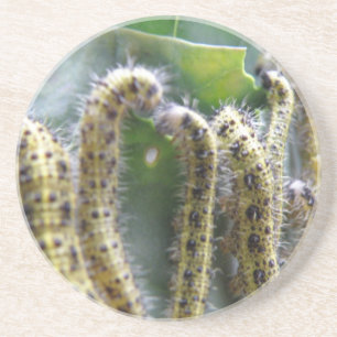 Witte Onderzetters met Hongaarse kool