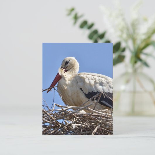 Witte ooievaar briefkaart (Staand voorkant)