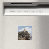 witte ooievaar in het nest magneet (Insitu (Vaatwasser))