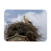 witte ooievaar in het nest magneet (Horizontaal)
