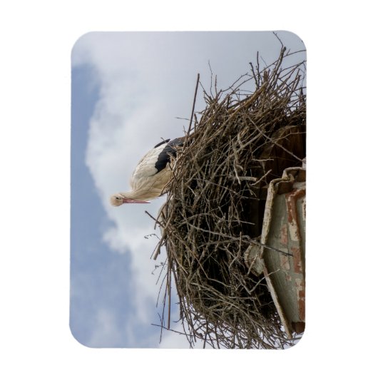 witte ooievaar in het nest magneet (Verticaal)