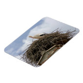 witte ooievaar in het nest magneet (Linkerzijde)