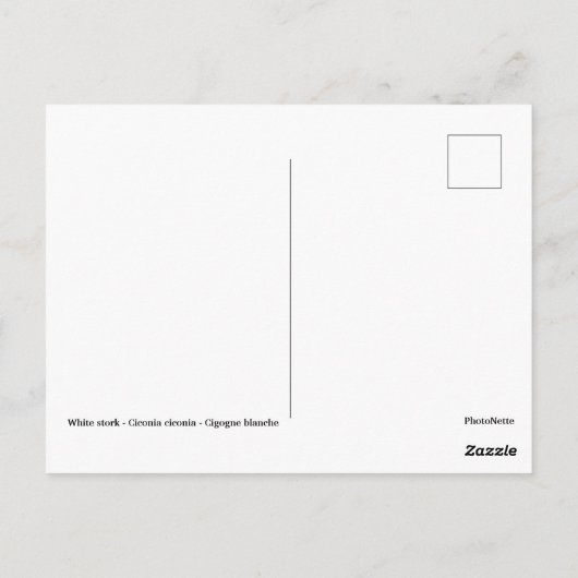 Witte ooievaar in water briefkaart (Achterkant)