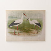 Witte ooievaar - jong en volwassen, Illustraties Legpuzzel (Horizontaal)