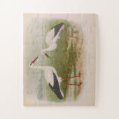 Witte ooievaar - jong en volwassen, Illustraties Legpuzzel (Verticaal)