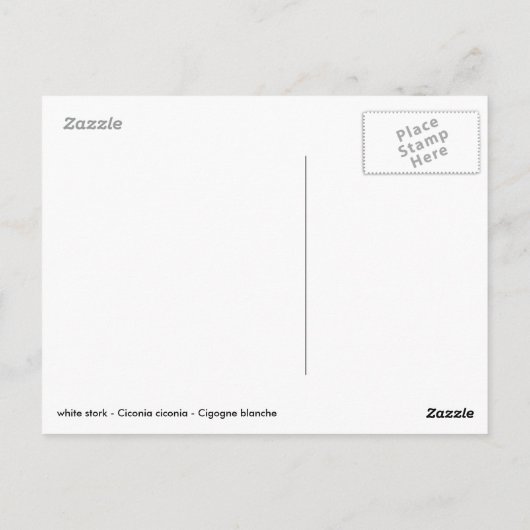 Witte ooievaar op gras briefkaart (Achterkant)