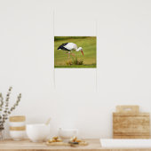 Witte ooievaar op gras poster (Keuken)