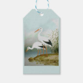 Witte ooievaar, vogelillustraties cadeaulabel (Voorkant)