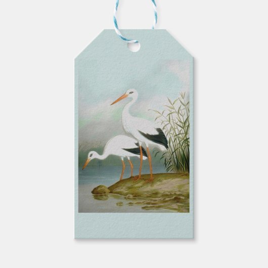 Witte ooievaar, vogelillustraties cadeaulabel (Voorkant)