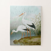 Witte ooievaar, vogelillustraties legpuzzel (Verticaal)
