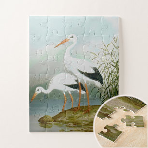 Witte ooievaar, vogelillustraties legpuzzel
