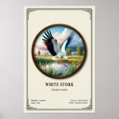 Witte Ooievaar Zoölogie Serie Poster (Voorkant)