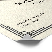 Witte Ooievaar Zoölogie Serie Poster (Hoek)