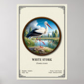 Witte Ooievaar Zoölogie Serie Poster (Voorkant)