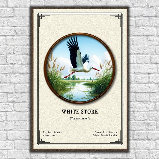 Witte Ooievaar Zoölogie Serie Poster