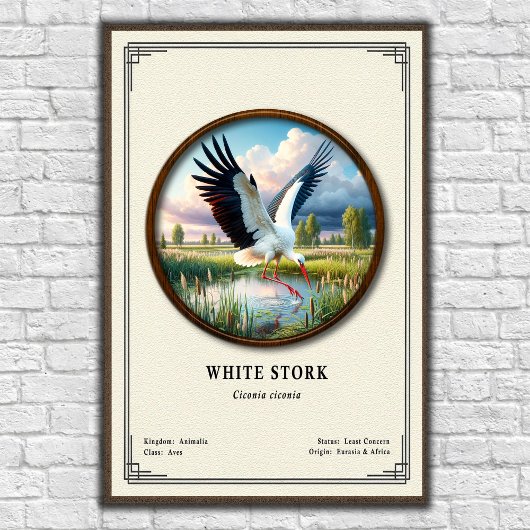 Witte Ooievaar Zoölogie Serie Poster