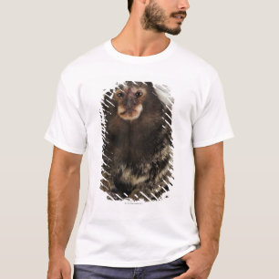 Witte oormarmoset op aftakking, close-up, studio t-shirt