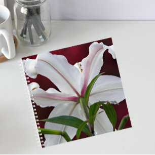 Witte Oosterse Lelie Bloei Bloem Notitieboek