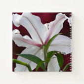 Witte Oosterse Lelie Bloei Bloem Notitieboek (Achterkant)