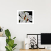 Witte Oosterse lelie bloem fotografisch Poster (Thuiskantoor)