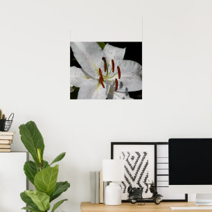 Witte Oosterse lelie bloem fotografisch Poster