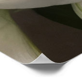 Witte oosterse lelie bloemen poster (Hoek)