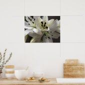 Witte oosterse lelie bloemen poster (Keuken)