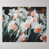 Witte Oranje Daffodils in de lentestuin Poster (Voorkant)
