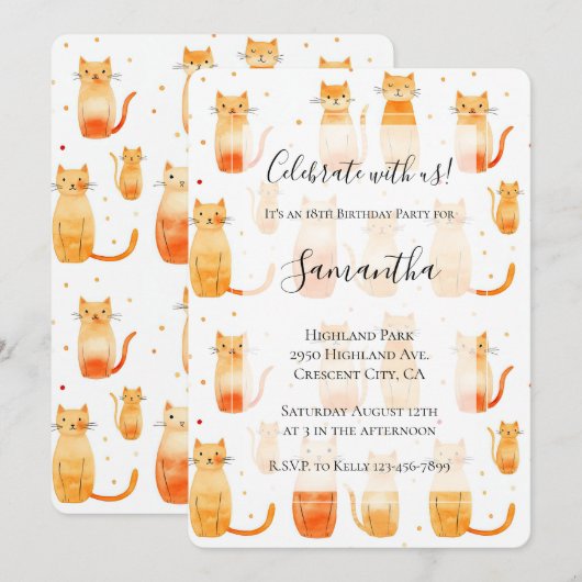 Witte Oranje Kitty Cats Verjaardag Kaart (Voorkant / Achterkant)