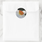 Witte Oranje Narcissus Stickers (Tas)