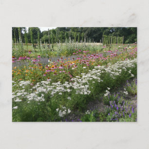 Witte Oranje Paarse Wildflowers Field DIY Briefkaa Feestdagenkaart