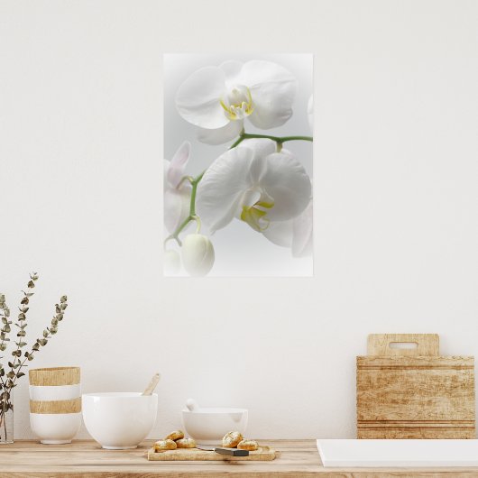 Witte orchidedruk poster (Keuken)