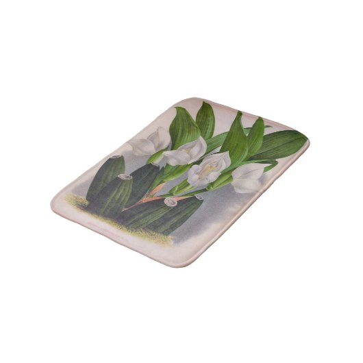  witte orchidee Anguloa Uniflora Lindenia Badmat (Gekanteld)