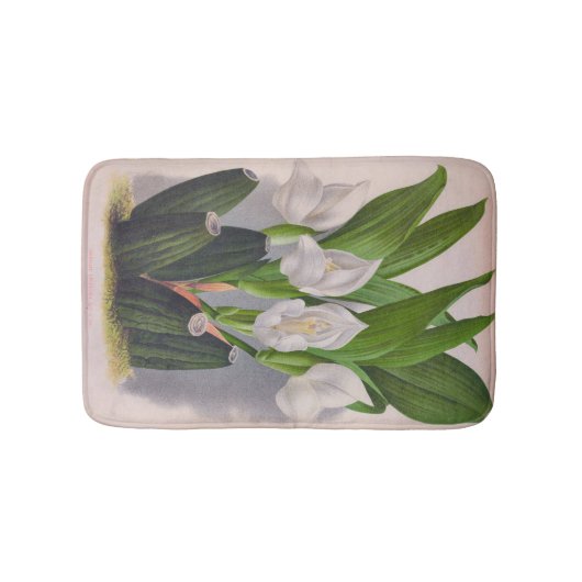  witte orchidee Anguloa Uniflora Lindenia Badmat (Voorkant)