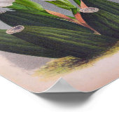 witte orchidee Anguloa Uniflora Lindenia Poster (Hoek)