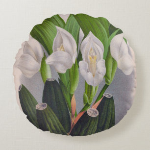 witte orchidee Anguloa Uniflora Lindenia Rond Kussen