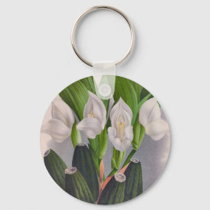  witte orchidee Anguloa Uniflora Lindenia Sleutelhanger