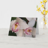 Witte orchidee blanco kaart (Gele Bloem)