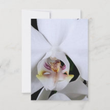 Witte orchidee bloem bedankkaart