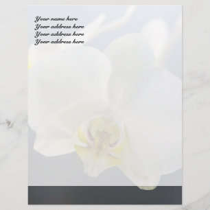 Witte Orchidee Bloem Briefhoofd Ontwerp