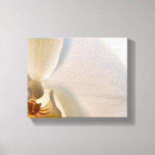Witte Orchidee Bloem Close Up Canvas Afdruk