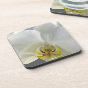 Witte Orchidee Bloem Drankjes Onderzetter