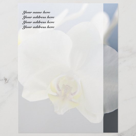 Witte Orchidee Bloem Gepersonaliseerd Briefhoofd (Voorkant)