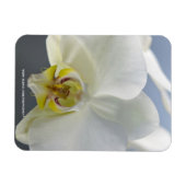 Witte Orchidee Bloem Magneet (Horizontaal)