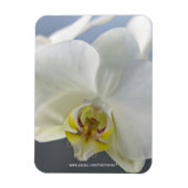 Witte Orchidee Bloem Magneet (Verticaal)