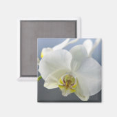 Witte Orchidee Bloem Magneet (Voorkant / Achterkant)